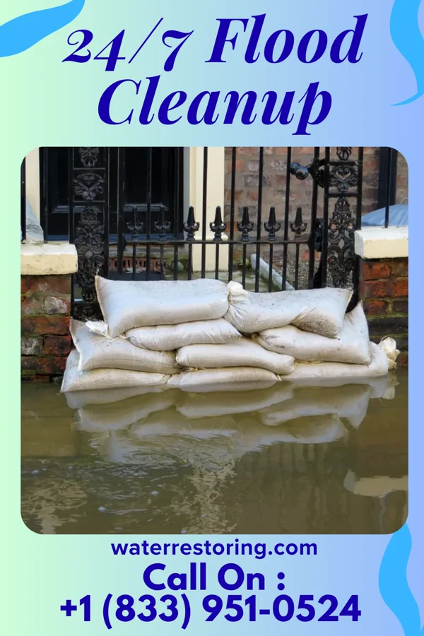 24/7 Flood Cleanup in Walnut, MS