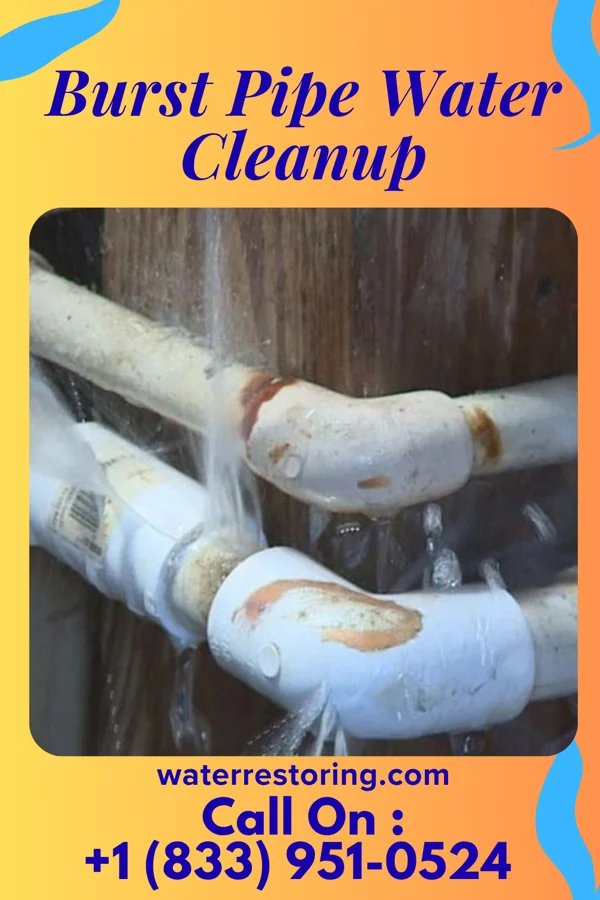 Burst Pipe Water Cleanup in Walnut, MS