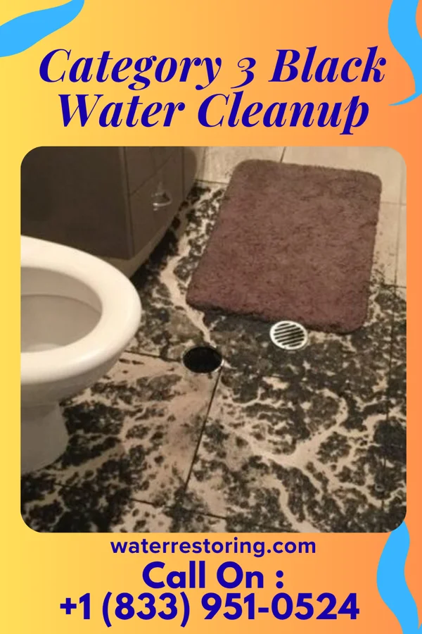 Category 3 Black Water Cleanup in Walnut, MS
