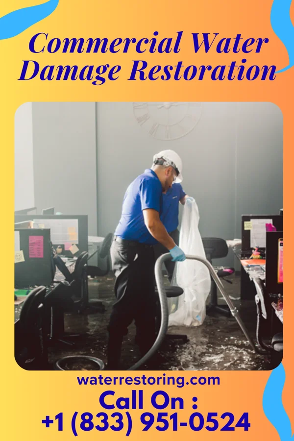 Commercial Water Damage Restoration in Walnut, MS