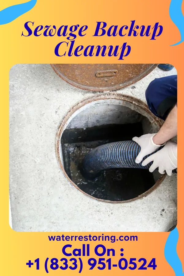 Sewage Backup Cleanup in Walnut, MS